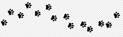 犬の足跡