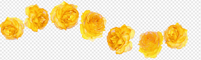 Rose (Yellow / Stamp)