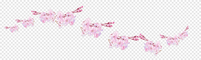 Cherry Blossom (realistic) Stamp1